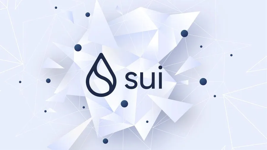 блокчейн SUI для бизнеса