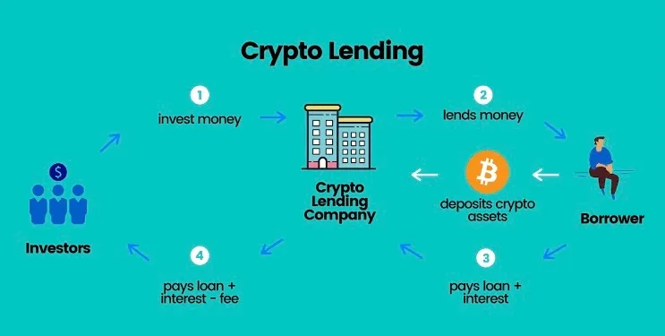 earn-программы