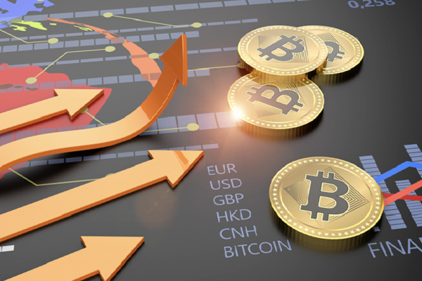 крипта обучение