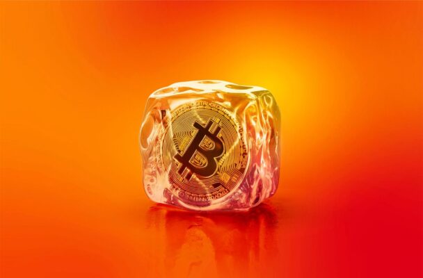 лучший горячий кошелек 2025